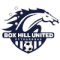 Box Hill United U20 logo