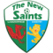 The New Saints (w) logo