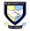 Berkhamsted Town logo