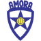 Amora FC U17 logo