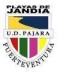 Pajara Playas logo