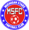 Michigan Stars logo