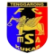 MSA FC logo