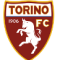 Torino FC Brasil U19 logo