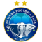 Enyimba logo