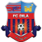 Dila Gori logo