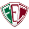 Fluminense RJ  U20 (W) logo