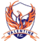 Valentine Phoenix U20 logo