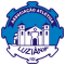 AA Luziania logo