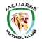 ADJG Jaguar U20 logo