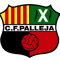 Palleja(w) logo