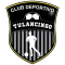 Deportivo Tulancingo II logo