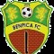 Benpica FC Karawang logo