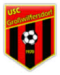 USC Grosswilfersdorf/Ilz II logo