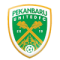 Pekanbaru United logo