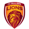 FC Bulleen Lions U21 logo