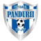 ACS Viitorul Pandurii Targu Jiu II logo