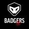 Badgers FC (W) logo