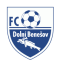 Dolni Benesov logo