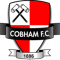 Cobham logo