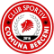 CSC Berceni logo