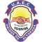 unidos-do-alvorada logo