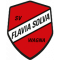 SVL Flavia Solva logo