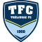 Trelissac U19 logo