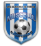 Muscelul Campulung logo