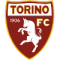 Torino Youth logo