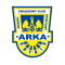 Arka Gdynia Youth logo