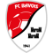 Bavois logo