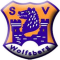 SV Wolfsberg logo