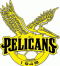 Pelicans SC logo