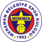 Menemenspor U19 logo