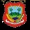 Panipi Raya FC logo