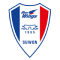 Suwon Bluewings logo