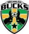 Michigan Bucks logo