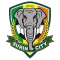 Surin City FC  logo