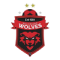 Wollongong Wolves U20 logo