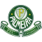 Palmeira FC RN (Youth) logo