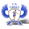 Crisul Chisineu Cris logo