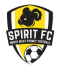 NWS Spirit (W) logo