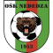 Nededza logo