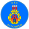 RKS Radomsko logo