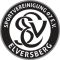 SV Elversberg U19 logo