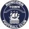 Runcorn Town logo