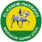 El Kanemi Warriors logo