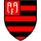 AA Flamengo SP U20 logo