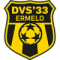 DVS 33 Ermelo logo